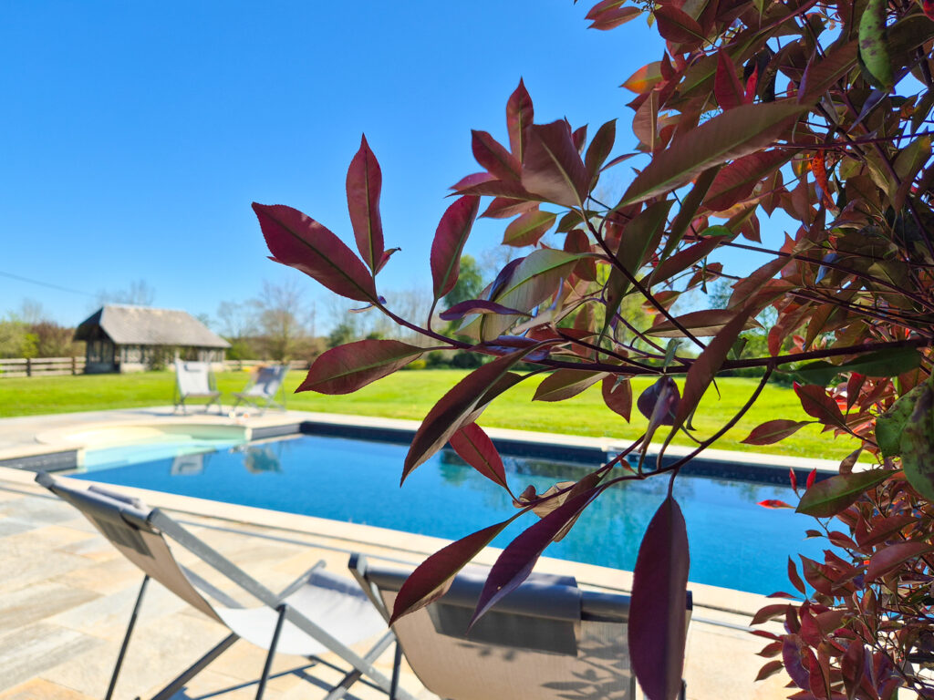 Image de la propriété